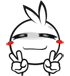 29